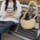 2025 New Korean Style Pleated Cloud Women's Bag Nylon Bubble Fashion Personalized Casual Down Crossbody Bag